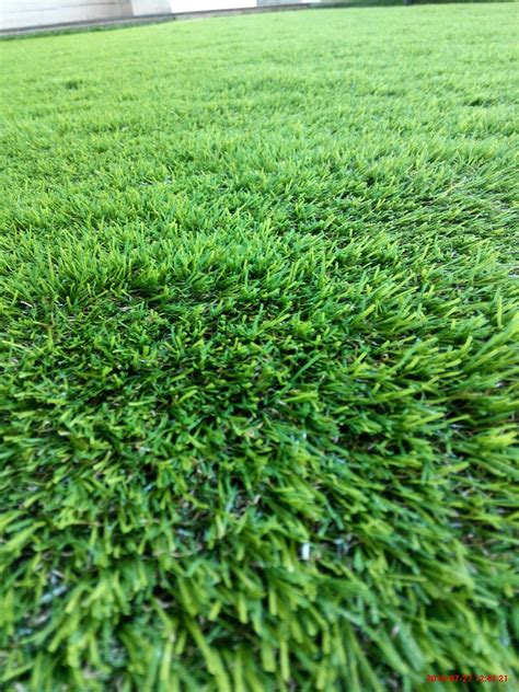 Rumput sintetis adalah jenis rumput buatan yang permukaanya terbuat dari serat sintetis atau karet yang tampak meyerupai rumput alami. PUSAT RUMPUT SINTETIS MURAH ( ARTIFICIAL GRASS ) - PUSAT ...