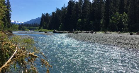 Hike The Hoh River Trail To Five Mile Island Hoh