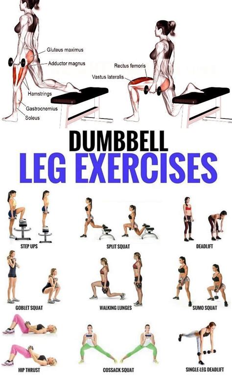 Top Dumbbell Exercises For A Leg Destroying Workout Dumbbell