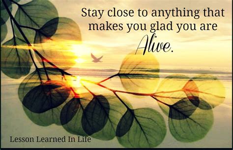 Glad — adjective gladder, gladdest 1 pleased and happy about something: Lessons Learned in LifeStay close to anything that makes ...