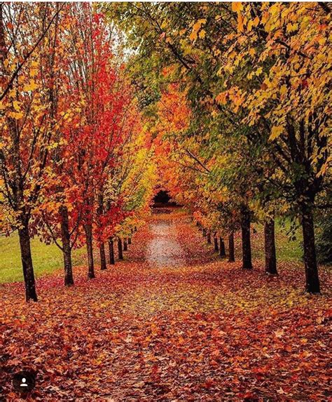 15 Most Beautiful Fall Sceneries Hypnoz Glam