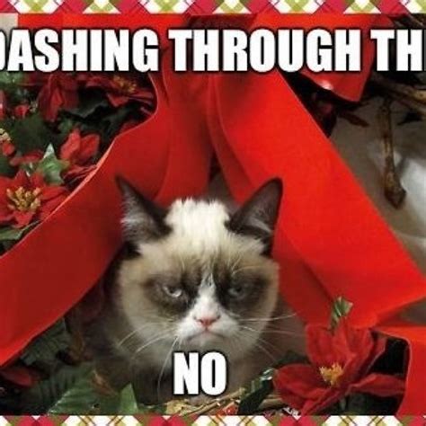 Dashing Through The No With Images Grumpy Cat Christmas Grumpy Cat