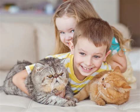 Best Small Pet For Child With Anxiety 10 Of The Best Pets To Consider