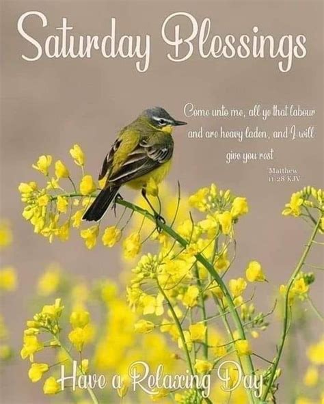 Saturday Blessings Have A Relaxing Day Pictures Photos And Images