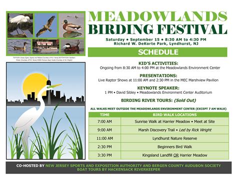 Meadowlands Birding Festival Is This Saturday Sept 15 The