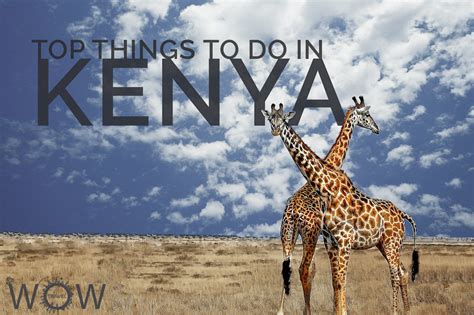 Top 6 Things To Do In Kenya 2023 Wow Travel