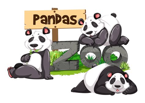 Three Pandas In The Zoo Art Many Path Vector Art Many Path Png And