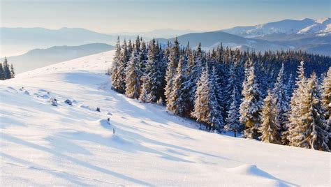 Snow Nature Mountains Background Trees Winter High Resolution