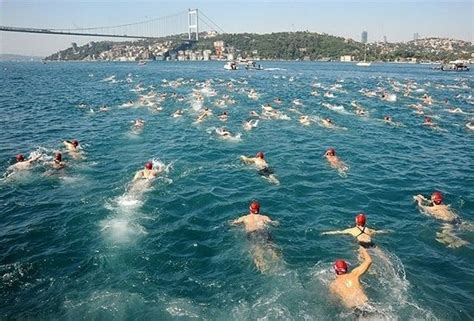 Swimmers In The Bosphorus Istanbul Turkey Open Water Swimming