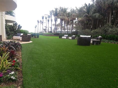 Their leaves are a da. Artificial Grass Installation Pros Fort Lauderdale Florida