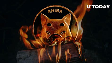 Shiba Inu Shib Burn Rate Still Up 1384 Heres How It May Push Price Up