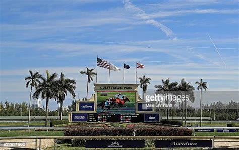 Pegasus World Cup Photos And Premium High Res Pictures Getty Images