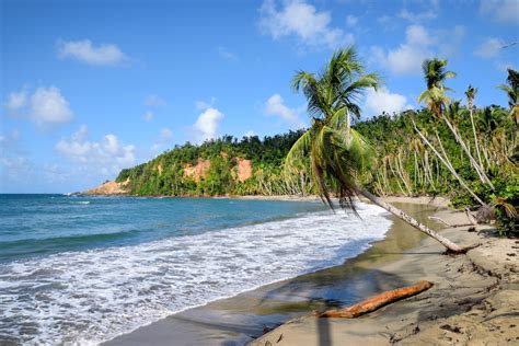 6 Best Beaches In Dominica To Visit In October 2022 Swedbanknl