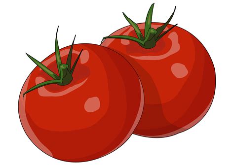 Verduras De Dibujos Animados Tomates Rojos Elementos De Tomate Png
