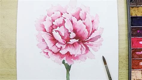 Lvl4 How To Paint A Carnation Flower In Watercolor Youtube