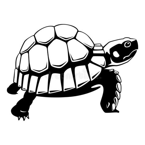 A Black And White Drawing Of A Turtle