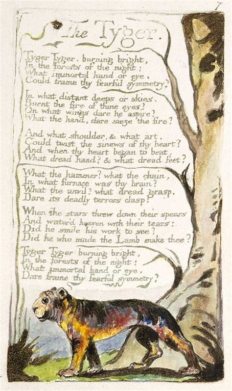 William Blake 的《the Tyger》中的「tyger」到底是一个什么意象？ 知乎