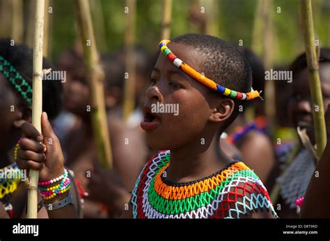 zulu maidens deliver reed sticks to the king zulu reed dance at enyokeni palace nongoma south