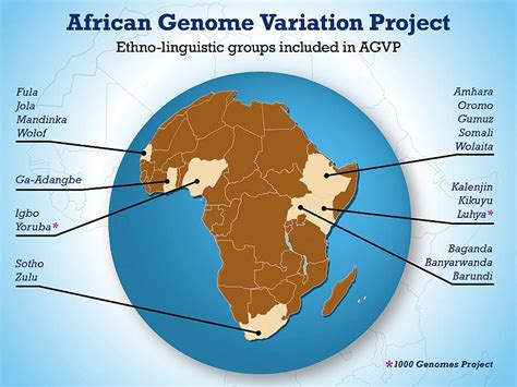Researchers Conduct Comprehensive Genomic Study Of Sub Saharan Africans