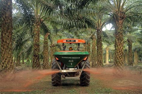 Sahyadri date palm and agro services. BPLANT (5254), BOUSTEAD PLANTATIONS BHD - Market Watch ...