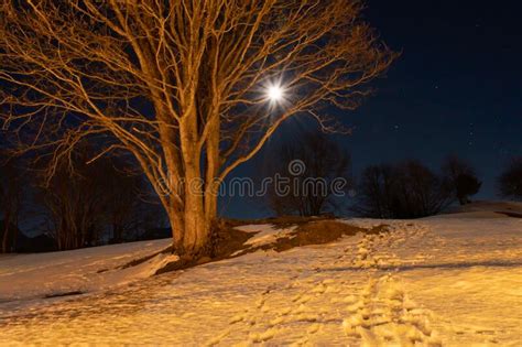 Saint Margrethenberg Switzerland December 19 2021 Full Moon Over A
