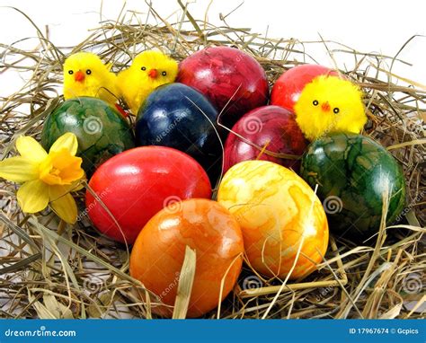 Easter Eggs And Chicks Stock Photo Image Of Colorful Object 17967674