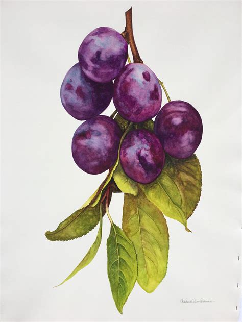 Fruit — Charlene Collins Freeman Art Food Art Painting Fruit Art