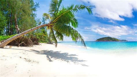 Ocean Tropical Landscape Vacation Sandy Beach Tropics Maldives