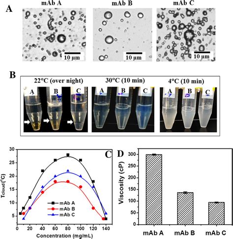 The Transient Turbidity Is Caused By Llps Induced Dense Phase Liquid