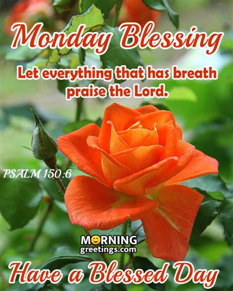 30 Amazing Monday Morning Blessings Morning Greetings Morning