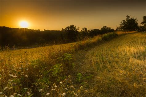 Sunrise Over Field Marcel Kerkhof Landscape Photography