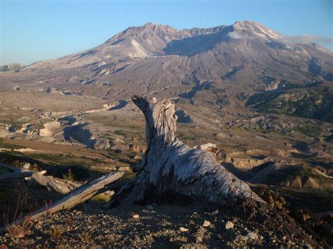 Nova Mt St Helens Back From The Dead Kpbs Public Media