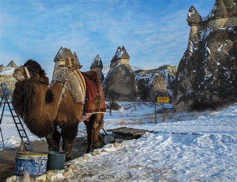 Cappadocia Region In Winter Photos Taken During A 17 Day I Flickr