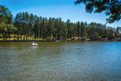 Zlatibor Lake Stock Photos Pictures And Royalty Free Images Istock