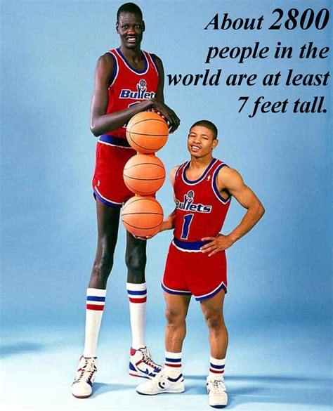 How Many 7 Footers Are In The World Interesting Facts Percentage