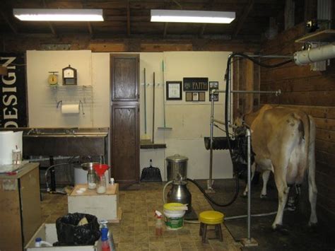 One Cow Existing Barn Dairy Cows Barn Layout Milk Cow