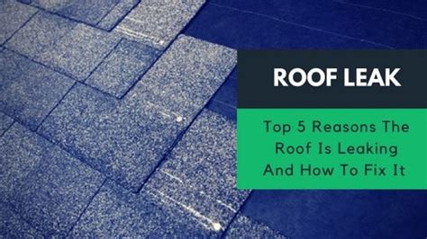 Top 5 Reasons The Roof Is Leaking And How To Fix It Roof Doctors Australia