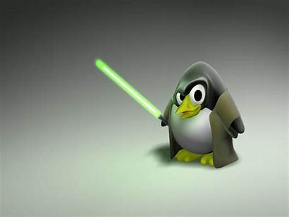 Linux Penguin Desktop Mascot Jeday Wallpapers Background