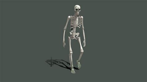 Low Poly Skeleton 3d Model By Fenixman12 6431756 Sketchfab