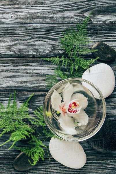 Flat Lay With Spa And Massage Treatment Arrangement With Fern Pebbles And Orchid Flower In Bowl