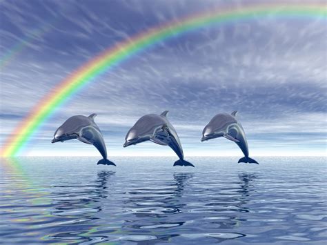 46 Free Dolphin Wallpaper Downloads Wallpapersafari