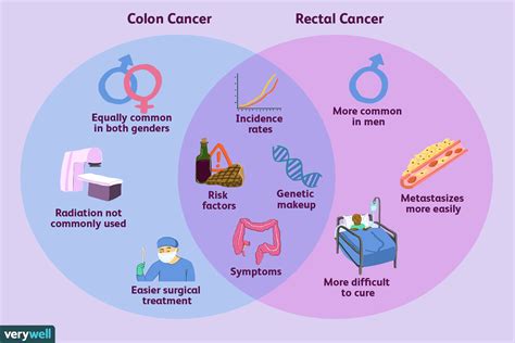 Différences Entre Le Cancer Colorectal Et Le Cancer Du Côlon Fmedic