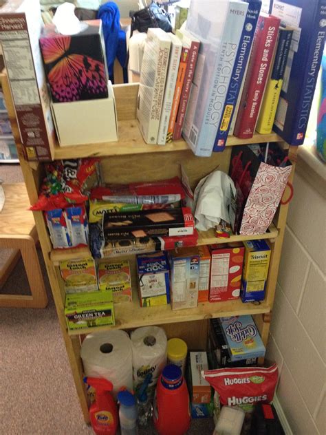 Tiny And Space Efficent Bookshelves Can Be A Lifesaver In Cramped Dorms