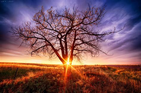 Sunrise Tree by Lars Leber / 500px | Sunrise photos, Sunrise, Sunrise sunset