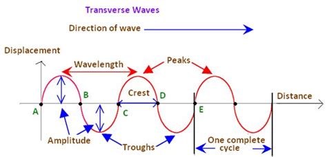 Types Of Transverse Waves Learn Physics Physics Classroom