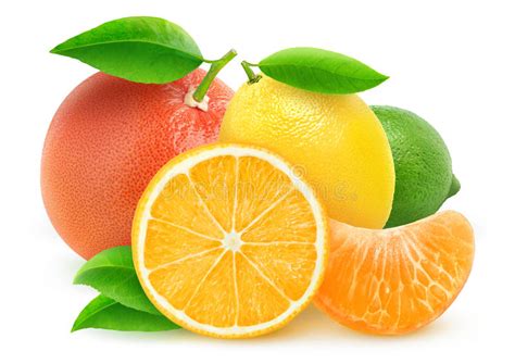 Cytrus owoc obraz stock. Obraz złożonej z tło, liść, pomarańcze - 17473559