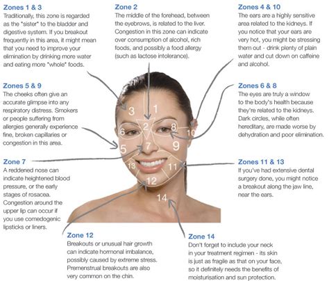 Facial Mapping Kunt U Het Gebruiken Om De Gezondheid Van Uw Huid Te Verbeteren De Gezondheid