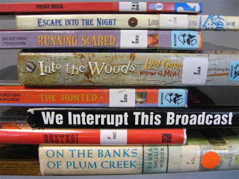 2010 Book Spine Poem Gallery — 100scopenotes 100 Scope Notes