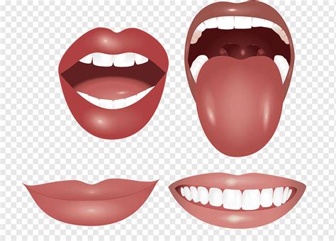 Mulut Lidah Gigi Bibir Gigi Lidah Mulut Wajah Orang Orang Jantung