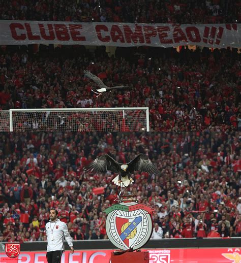 Lo mejor del futbol de ecuador en vivo no te pierdas de las noticias, horarios, fechas del campeonato serie a, ecuagol, futbolecuador.com 2016-2017 13ªJ: SL Benfica 2 sporting 1 | Sporting, Sport ...
